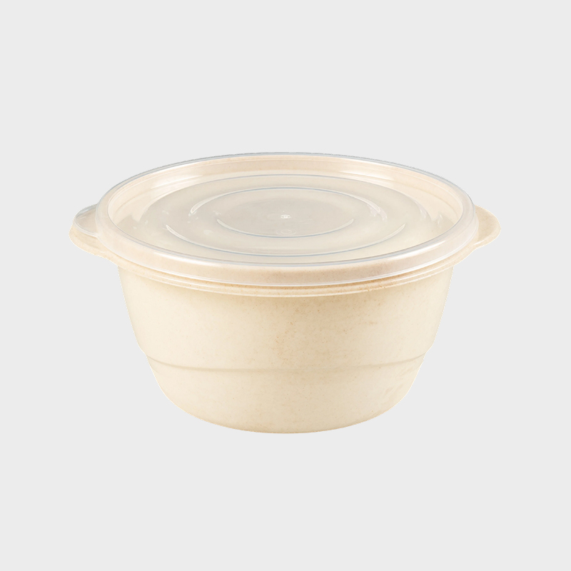 Rund Låg Plast Fast Food Box PFB009