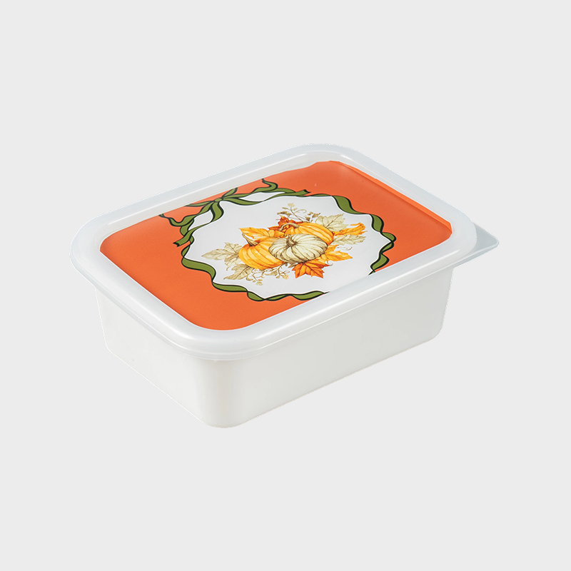 Plast opbevaringsboks PFB067